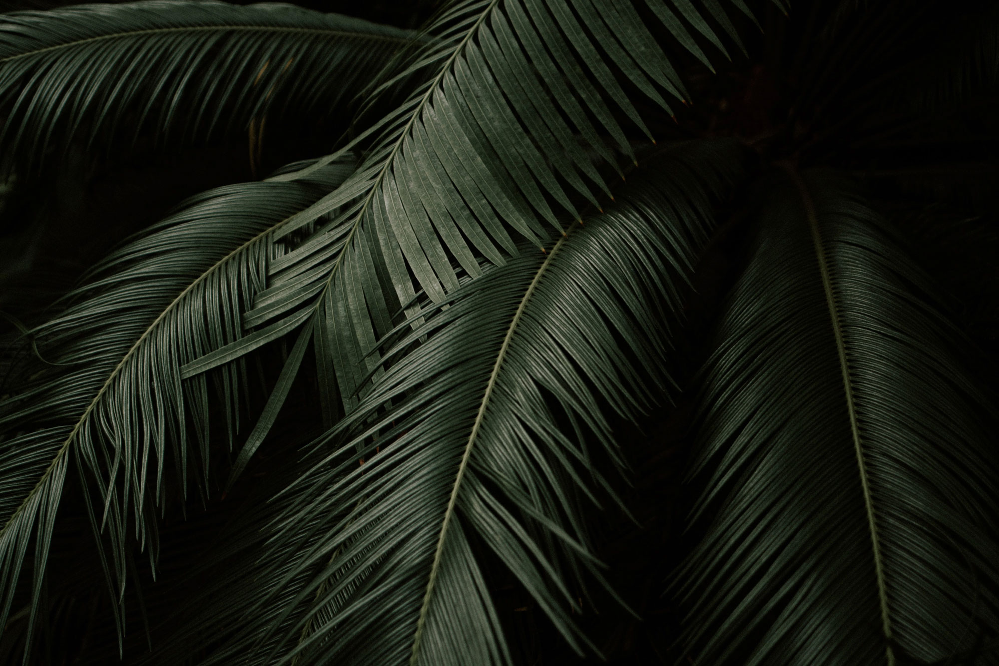 Hintergrund